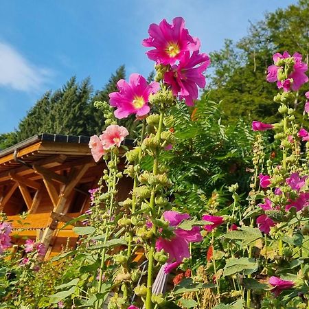 Chalet Arpitan - les Carroz - Grand Massif Extérieur photo