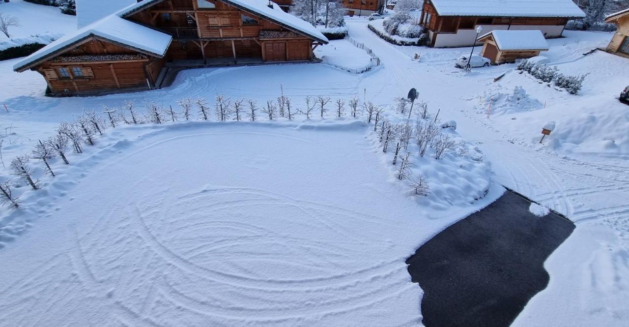 Chalet Arpitan - les Carroz - Grand Massif Extérieur photo