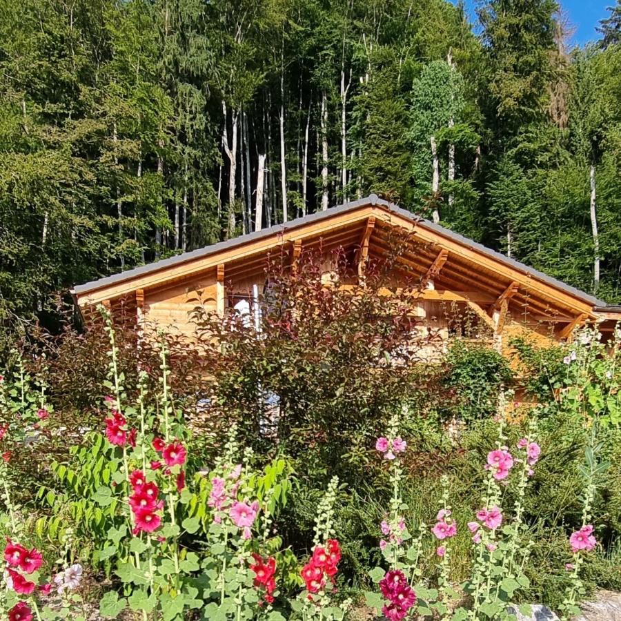 Chalet Arpitan - les Carroz - Grand Massif Extérieur photo