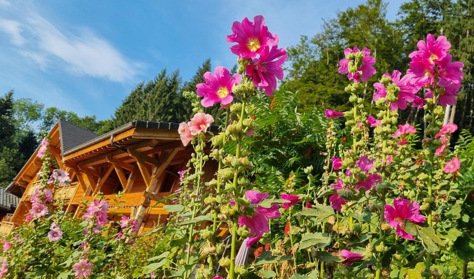 Chalet Arpitan - les Carroz - Grand Massif Extérieur photo